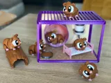 Guinea pigs world-4