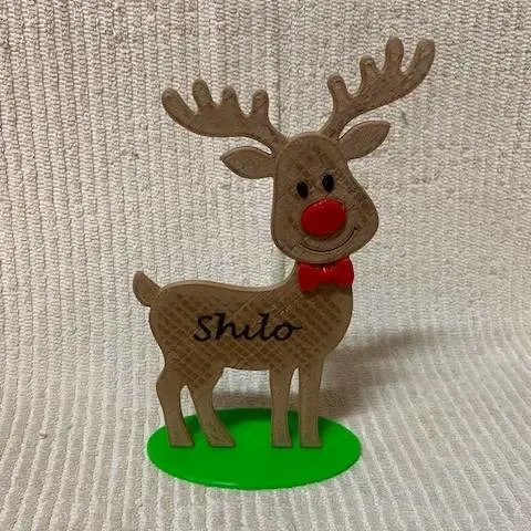 Reindeer Decoration, name plaque, Christmas