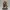 Emerald Fang Warlord – Armored Tiger Champion 3D Figurine