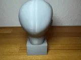 Scultura anatomica (volto diviso)-3