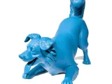 Border Collie-4