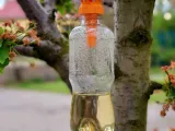 Wasp trap long-0