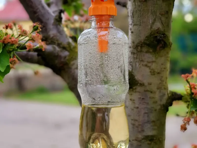 Wasp trap long