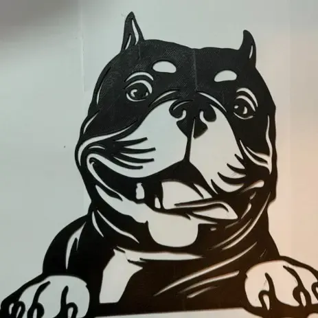 American Bully cropped ears 