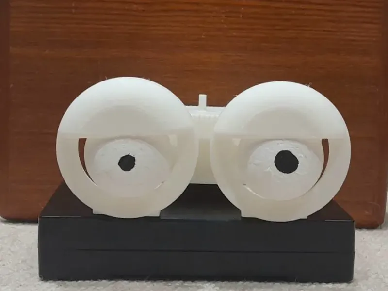 Moving eye mechanism