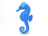 Sea​​horse-1