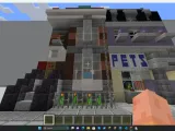 Minecraft Pet Shop-1