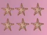Cute tic tac toe game 🐚⭐️-2