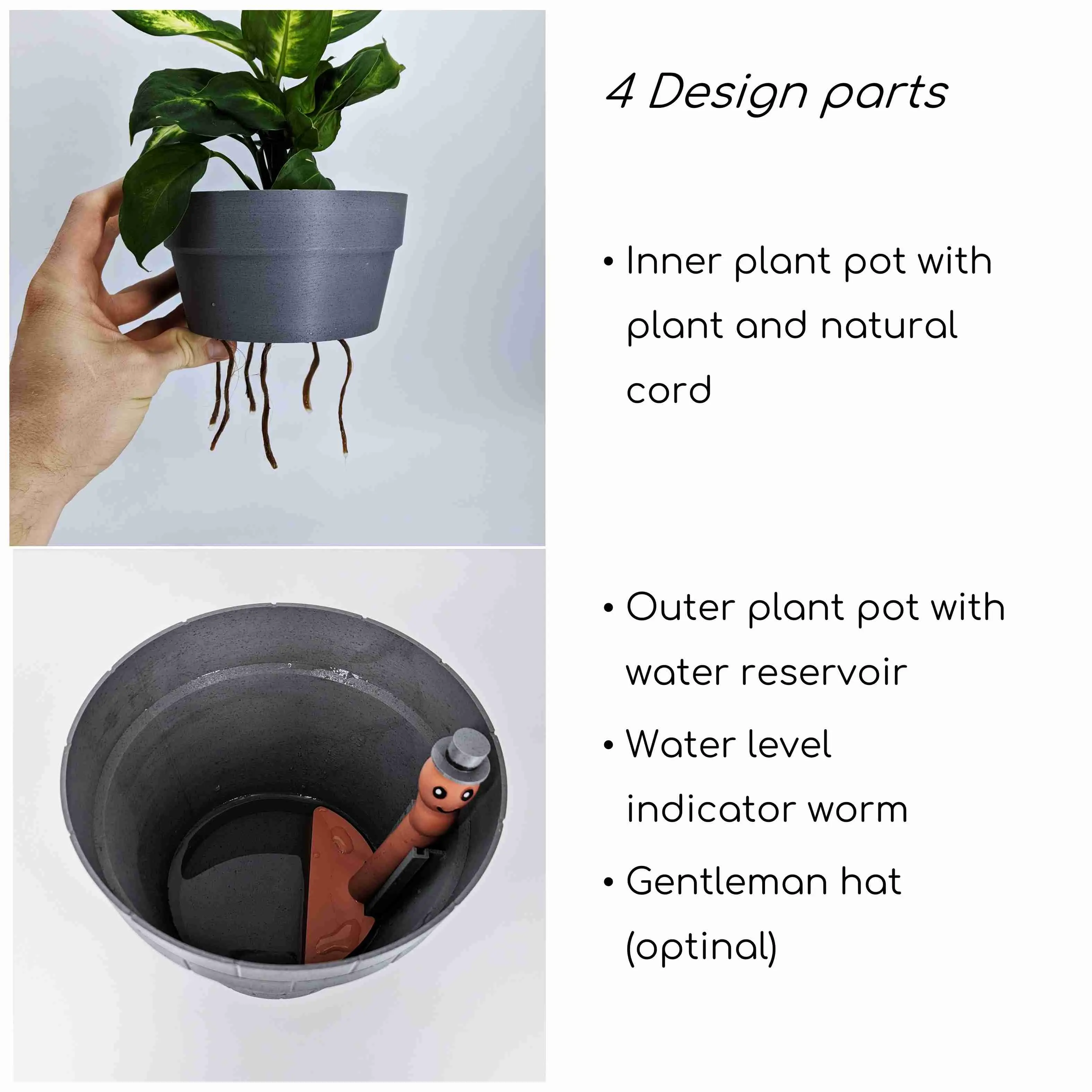 Self-Watering Plant Pot with a Gentleman Earthworm Companion