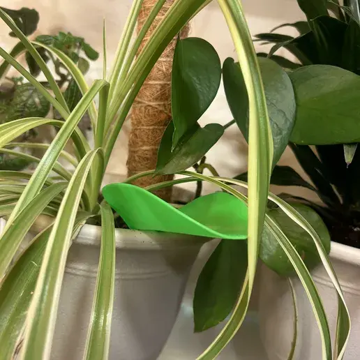 "Leaf shaped watering funnle" by murphjos (CULTS)