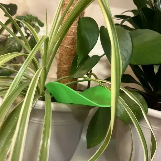 "Leaf shaped watering funnle" by murphjos (CULTS)