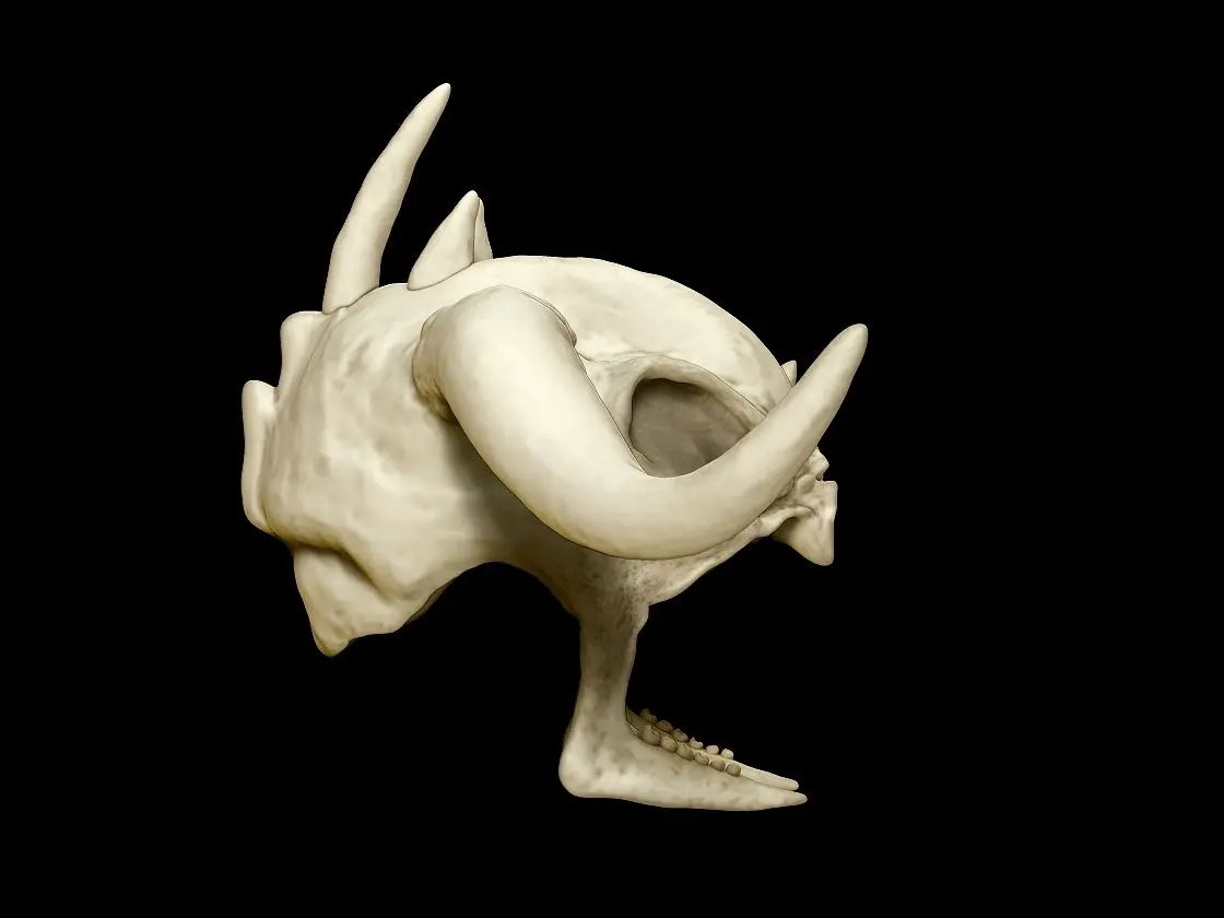 Indiana Jones Mola Ram Crown 3d descarga digital