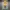 Voltina Spark – Chibi Electric Idol