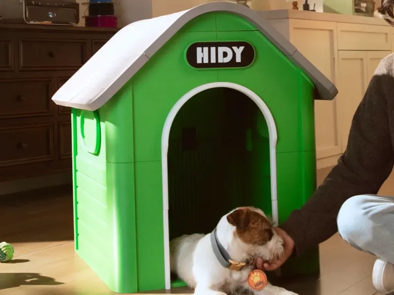 Dog House