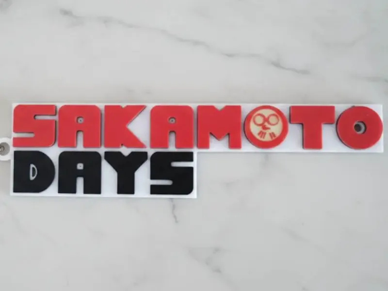 Keychan Sakamoto Day