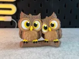 Cute Owls-2