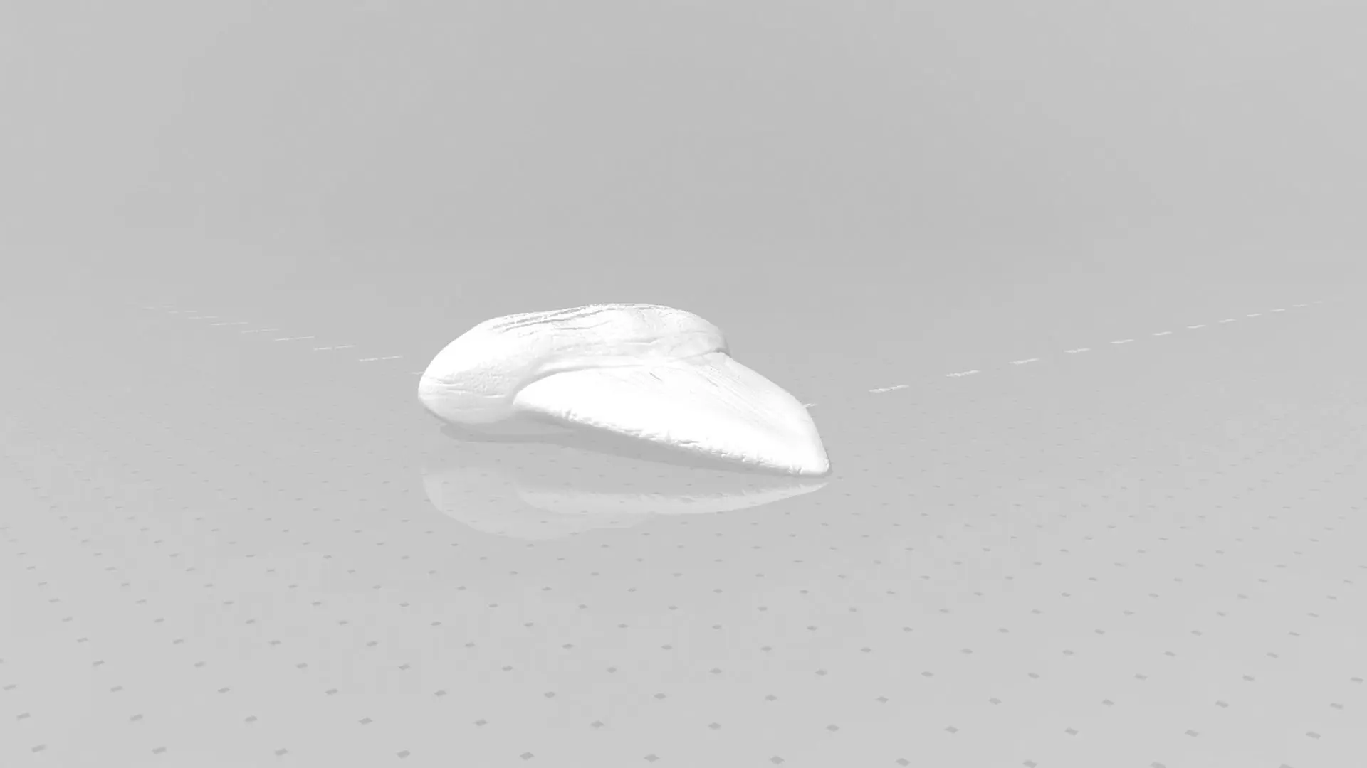 Megalodon-Zahn - Jurassic Fossil Echte Größe