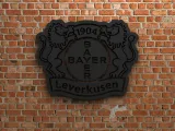 Bayer 04 Leverkusen Logo-0