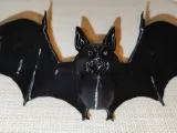 Chauve-souris - Nietoperz-1