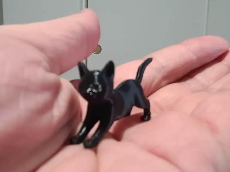 Cute Cat #3