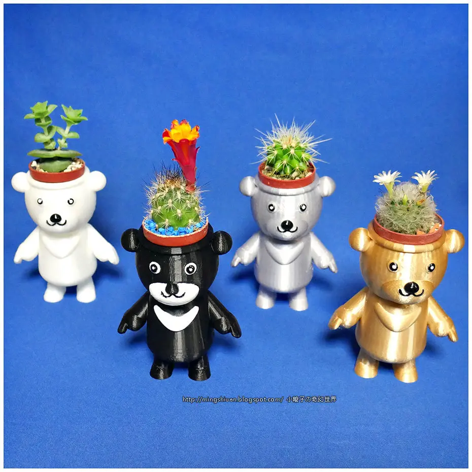 BEAR BRAVO Potted plants