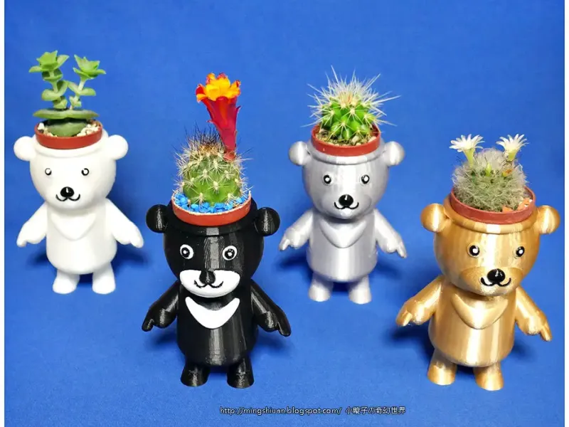 BEAR BRAVO 鉢植え