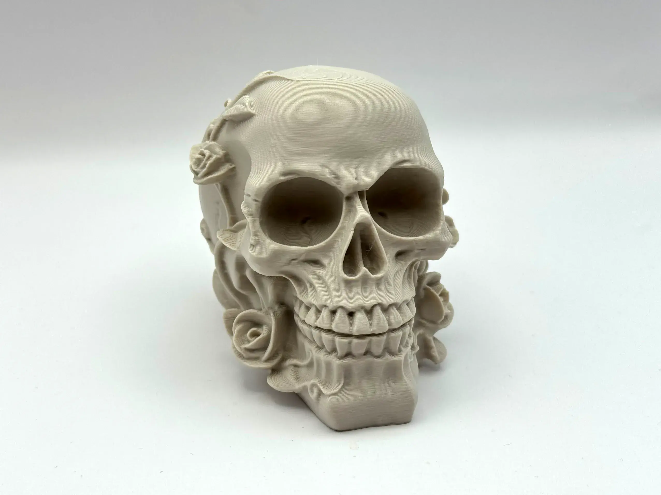 Death Blooms – Ornamental Skull with Roses