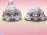 可活动贵宾犬-0