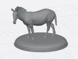 Zebra-2