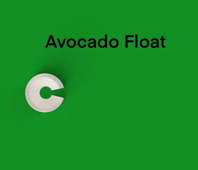 Avocado Float - Avocado aus Samen ziehen