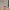 Hello Kitty Tomato Costume 3D Model