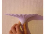 Shelf Mushroom-0