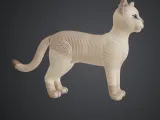 chat cat gato-1