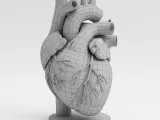 Heart / Herz-4