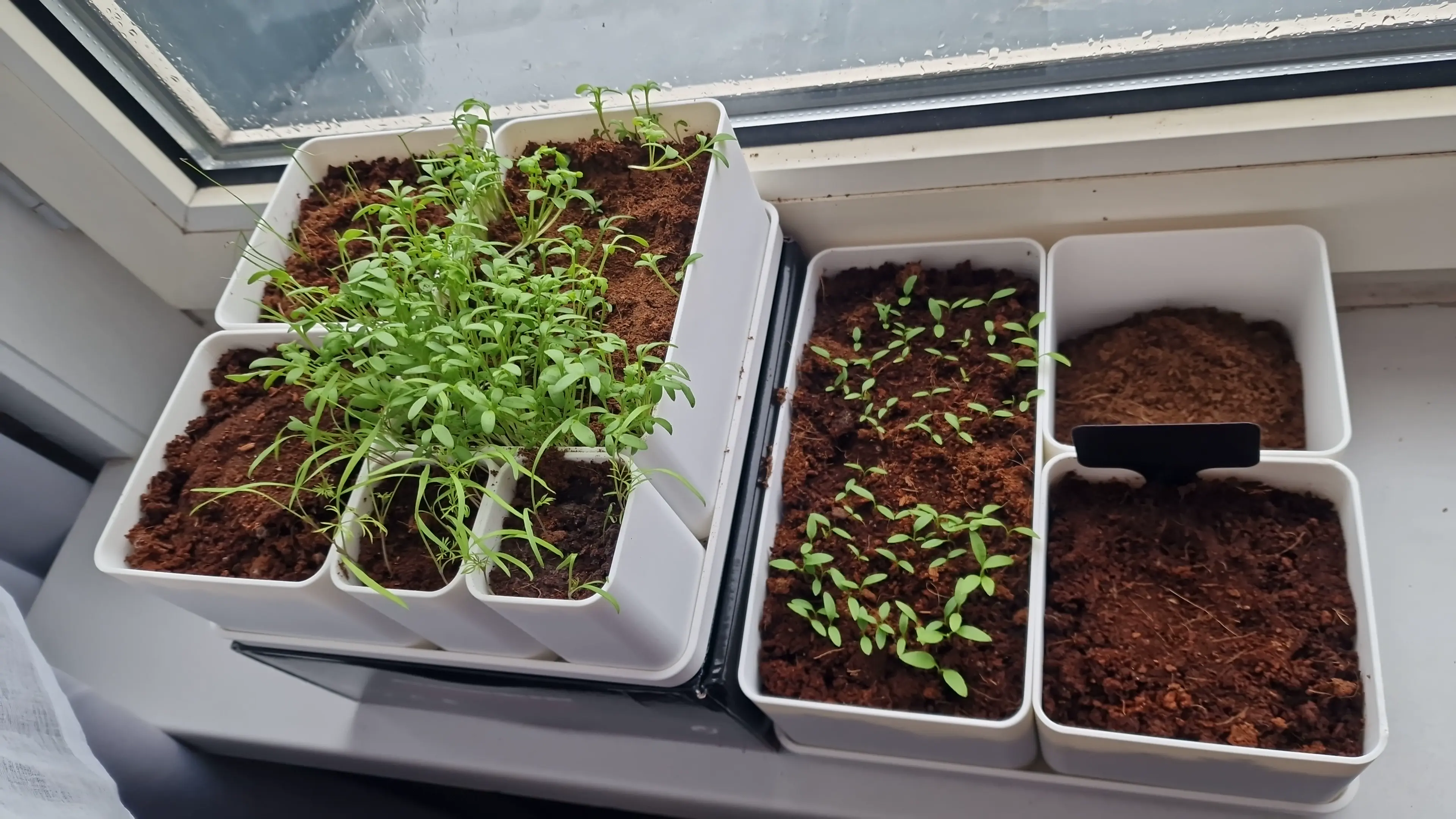 a simple flexible plant growing station for the home garden