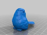 Family of Birds -2
