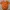 Minnie Pumpkin 3D Model - Cute Halloween Pumpkin - Fan Art
