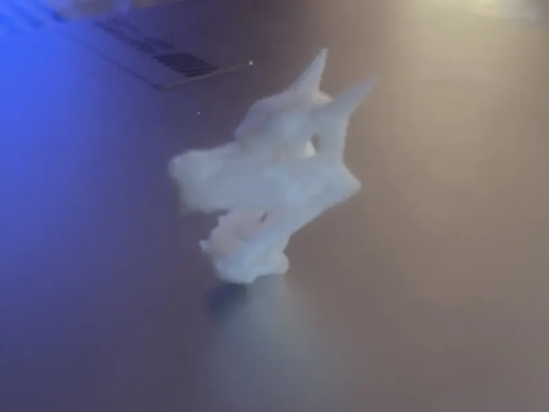 Aerodactyl kop