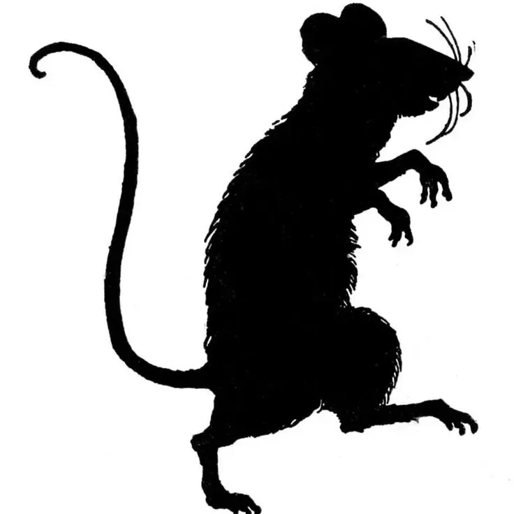 Rat 2D Art