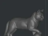 playing cat gato -6
