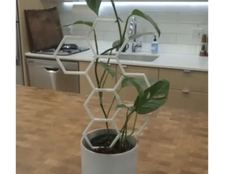 Hexagon plant trellis