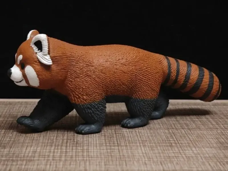 行走的小熊猫（walking red panda）
