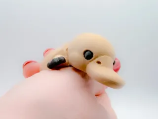 BabyPlatypusFlexi_Creality