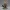Forest Guardian Druid Adventurer - Noah 0x03