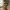 Grinch – Travieso del Regalo
