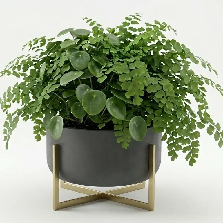 Vaso nordico