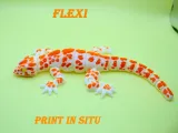 gecko_flexi-5