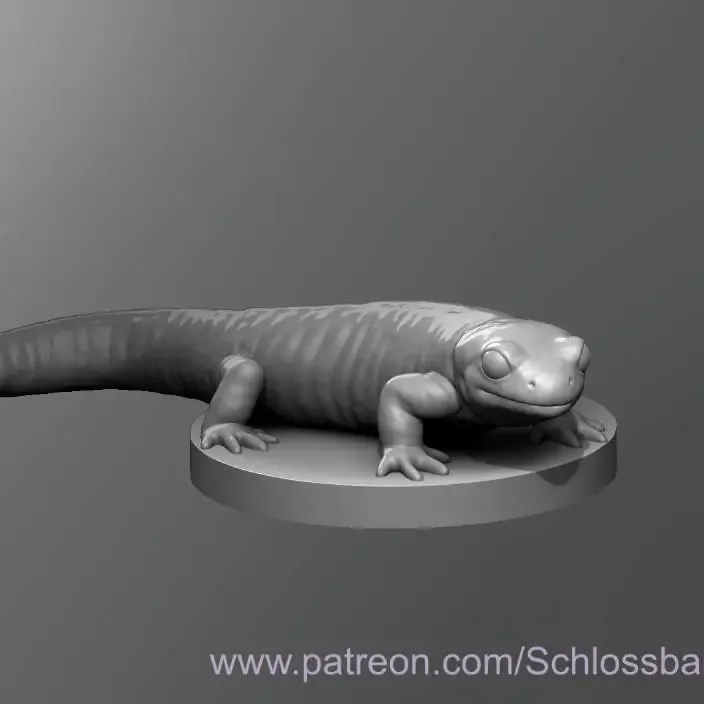Fire Salamander