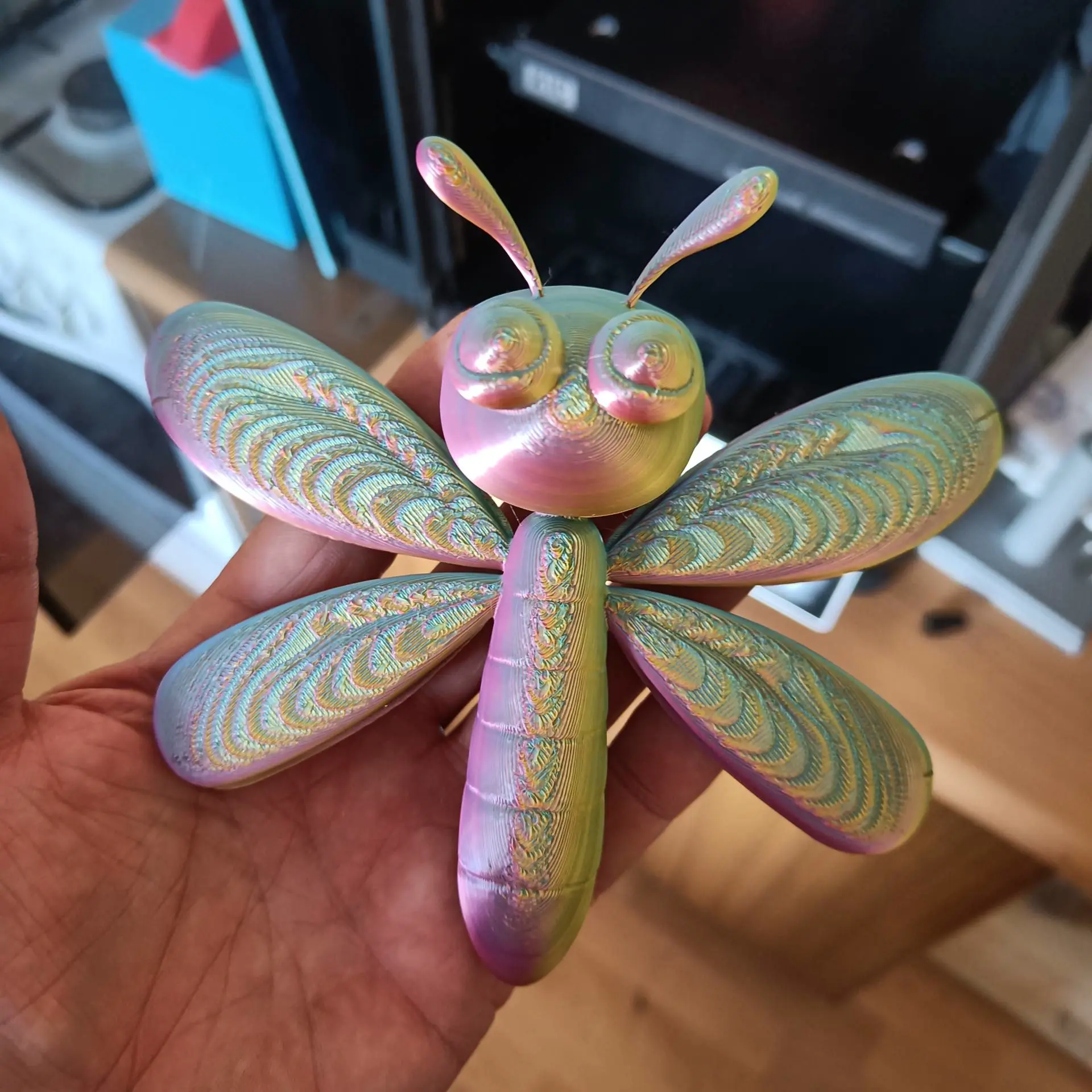 Dragonfly - Ważka