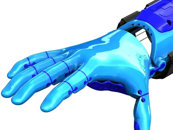 Kinetic Hand from Free 3D Hands